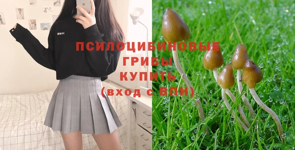 бошки Лихославль