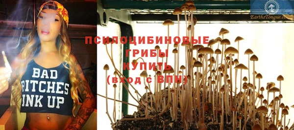 молекула духа Уссурийск
