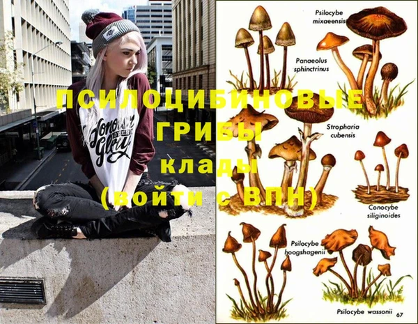 не бодяженный Лиски