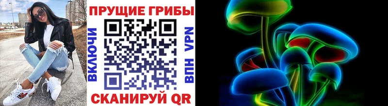 Псилоцибиновые грибы прущие грибы  OMG   Осташков 